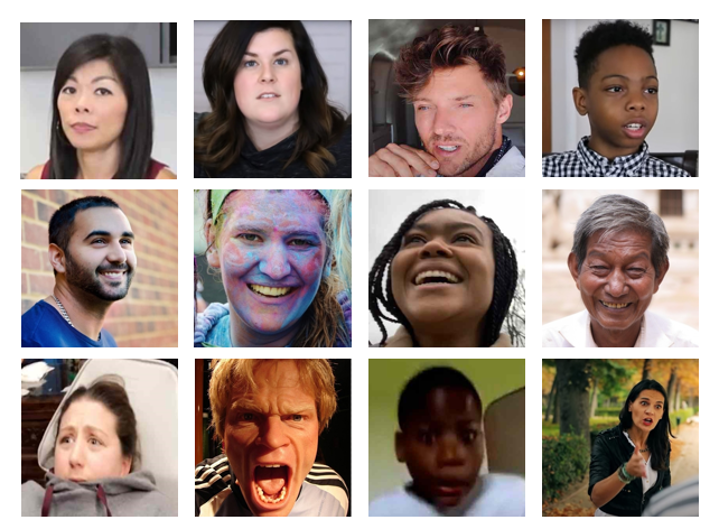 Images from the Wild Faces Database